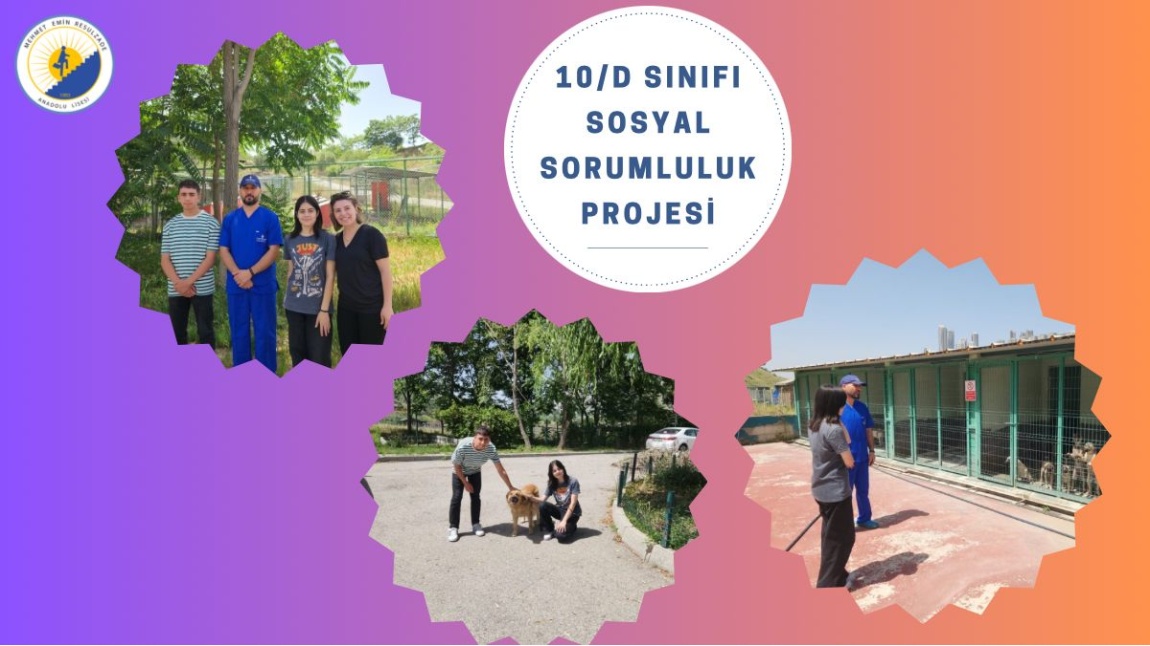 10/D SINIFI SOSYAL SORUMLULUK PROJESİ